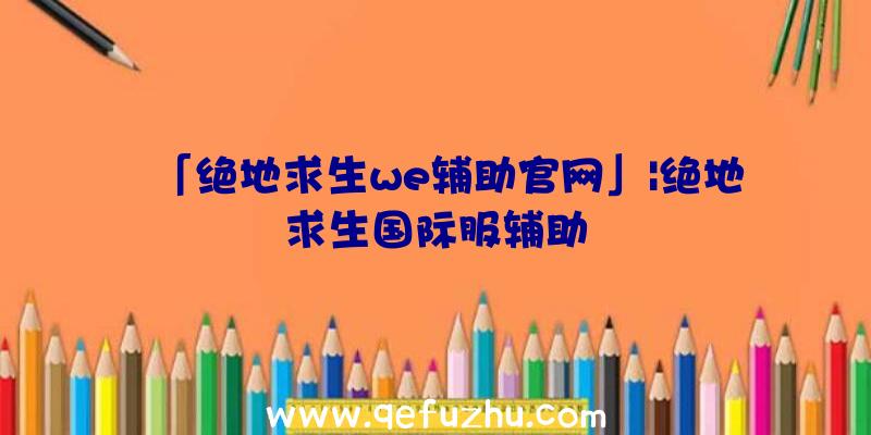 「绝地求生we辅助官网」|绝地求生国际服辅助